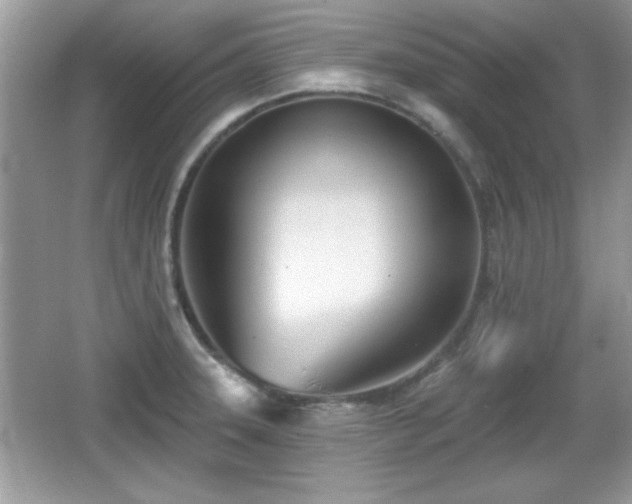X0000066991331200603271304