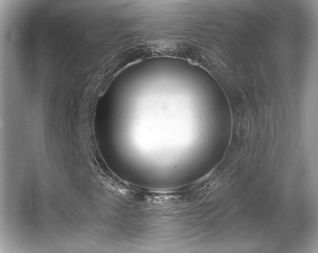 X0000066991345200603271304