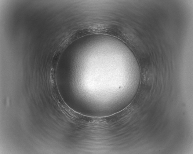 X0000066991346200603271303