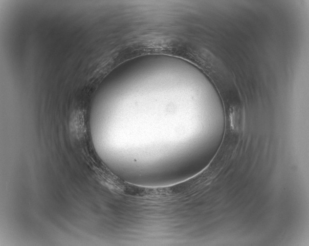 X0000066991347200603271303