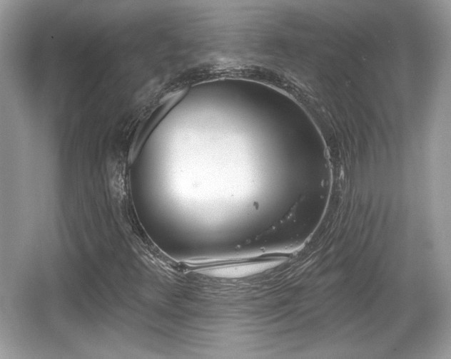 X0000066991348200603271303