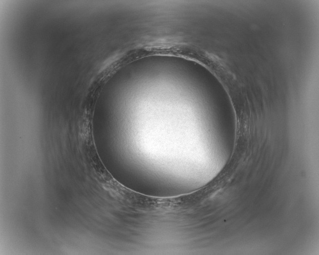 X0000066991350200603271303