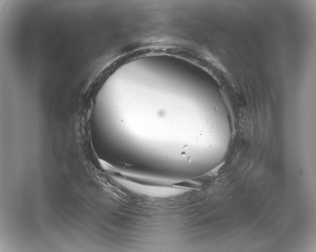 X0000066991352200603271303