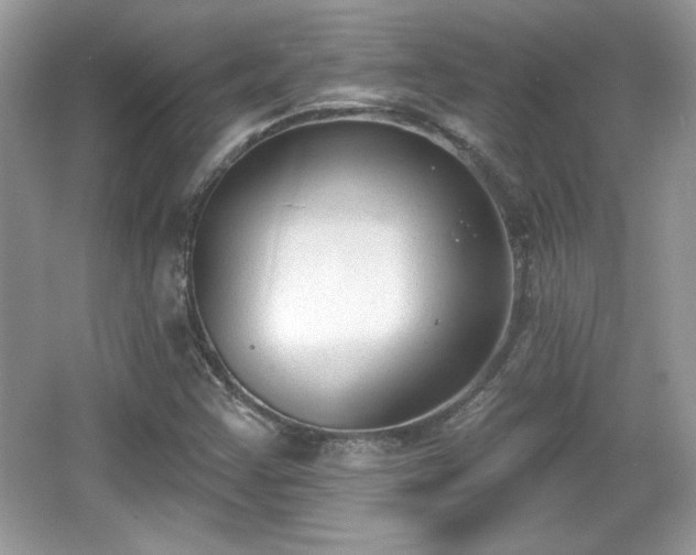 X0000066991355200603271303