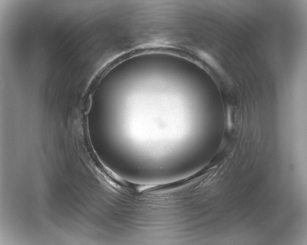 X0000066991356200603271303