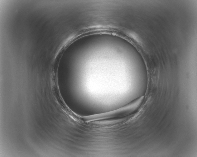X0000066991357200603271303