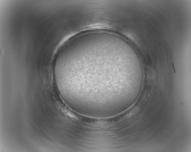 X0000066991358200603271303