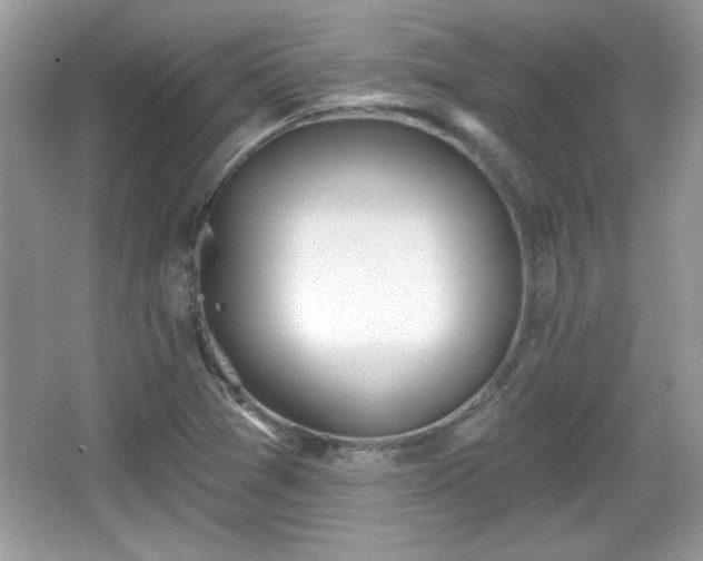 X0000066991361200603271303