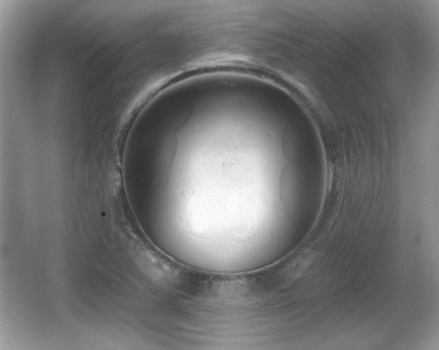 X0000066991363200603271303