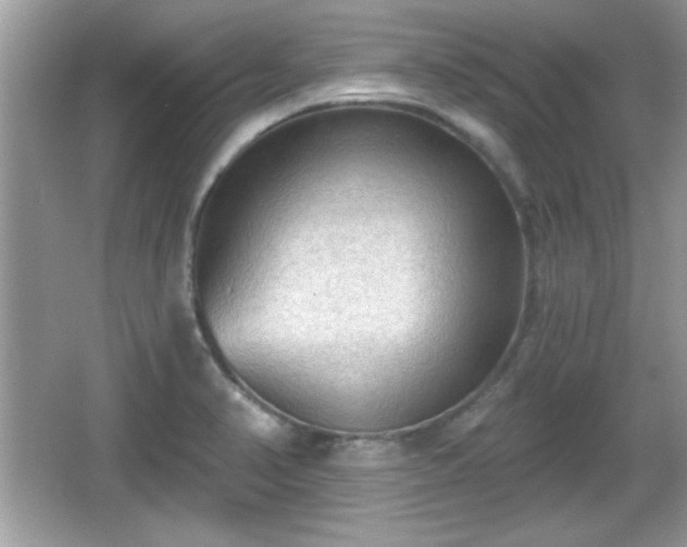 X0000066991374200603271303