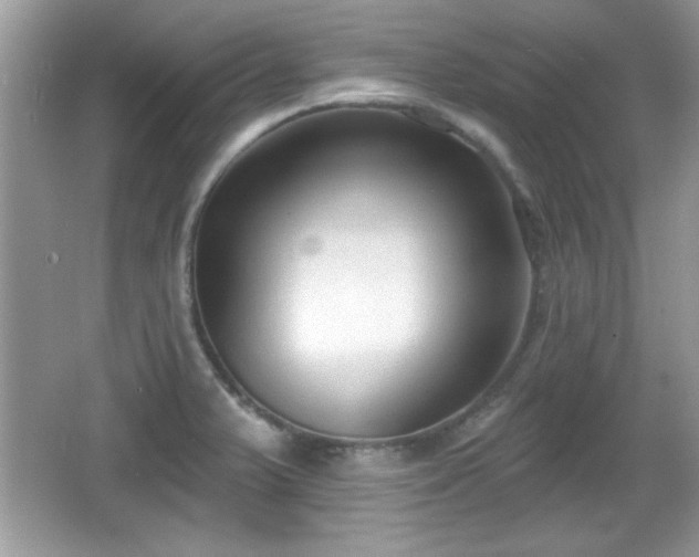 X0000066991375200603271303