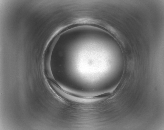 X0000066991376200603271303