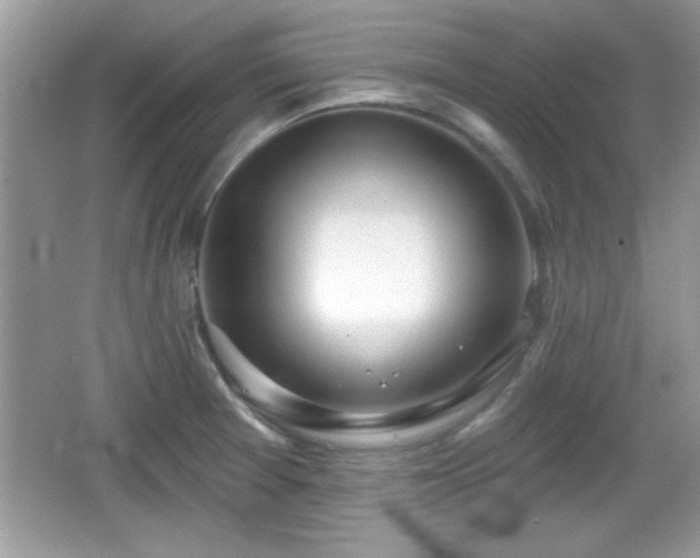 X0000066991377200603271303