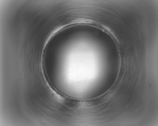 X0000066991379200603271303