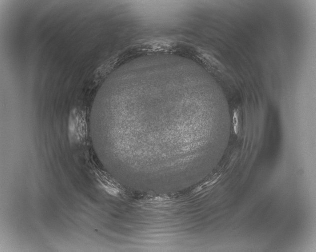 X0000066991395200603271302