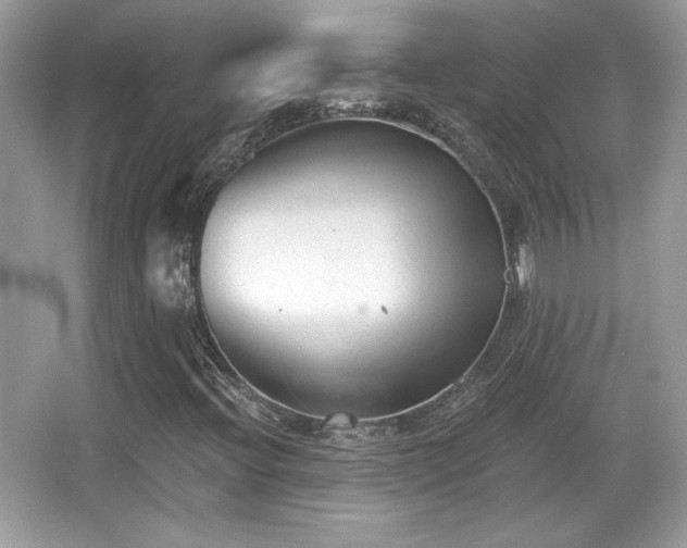 X0000066991396200603271302