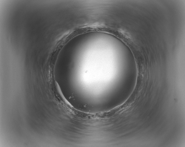 X0000066991398200603271302