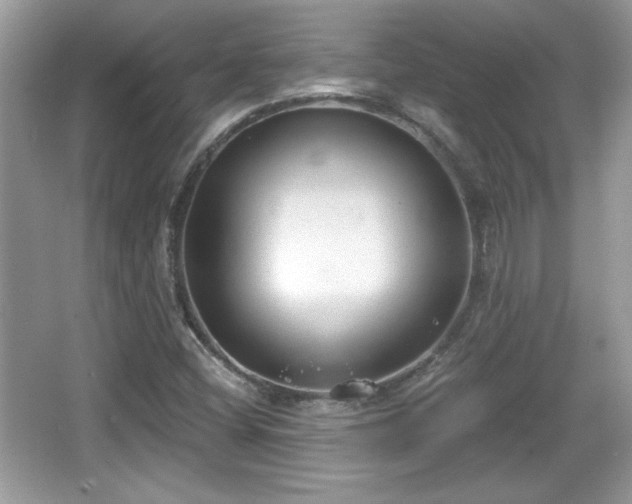 X0000066991404200603271302