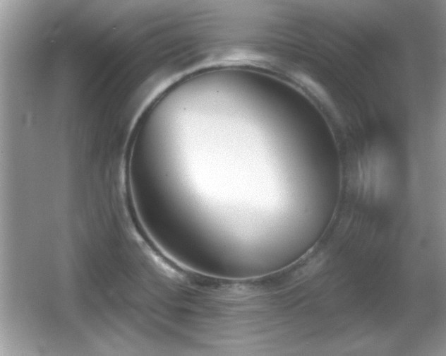 X0000066991420200603271302