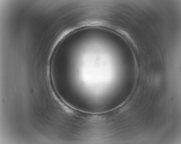 X0000066991424200603271302