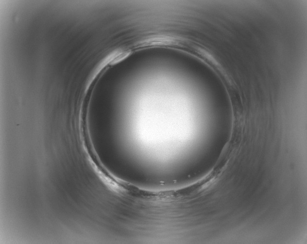 X0000066991426200603271302