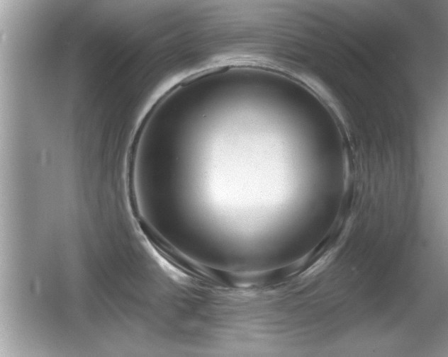 X0000066991438200603271303