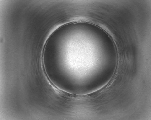 X0000066991440200603271303