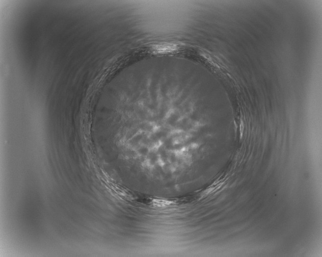 X0000066991441200603271302