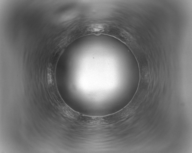 X0000066991442200603271302