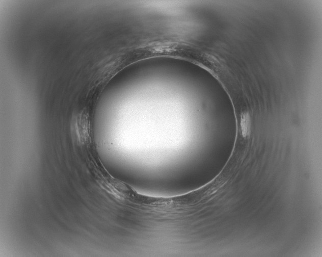 X0000066991444200603271302