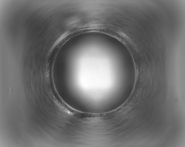X0000066991450200603271302