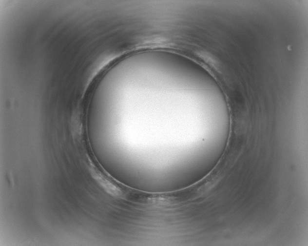 X0000066991458200603271302