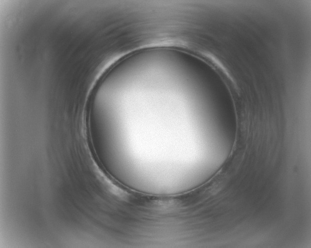 X0000066991468200603271301