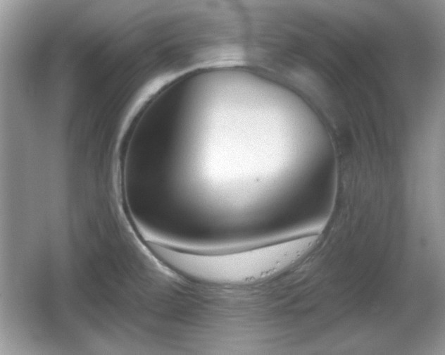 X0000066991472200603271301