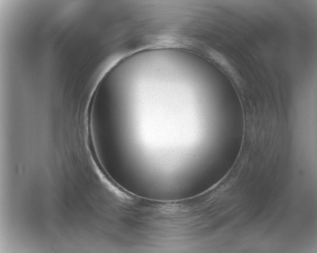 X0000066991479200603271301