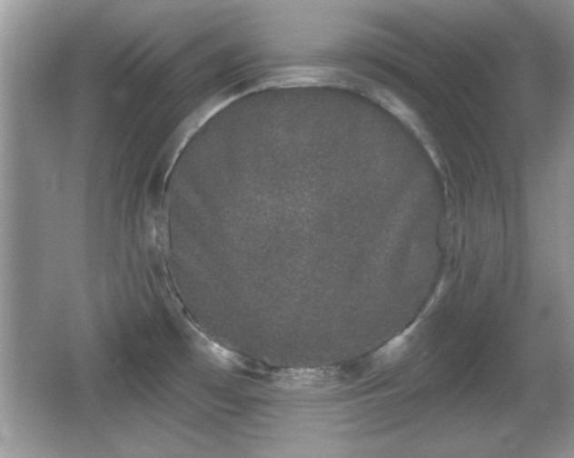 X0000066991481200603271301