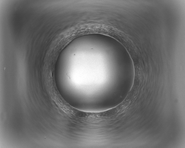 X0000066991489200603271300