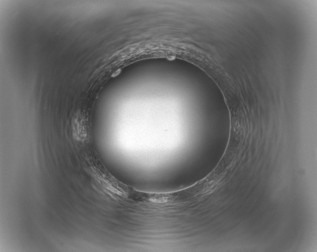 X0000066991490200603271300