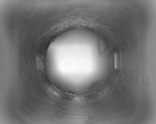 X0000066991491200603271300