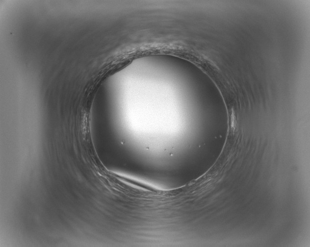 X0000066991492200603271300