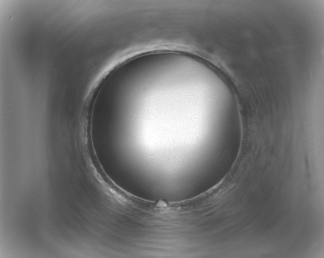 X0000066991504200603271301