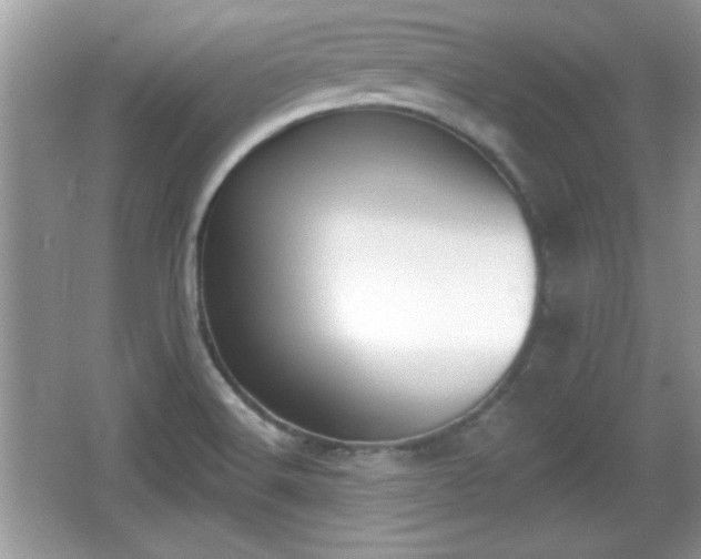 X0000066991516200603271301