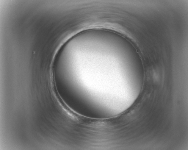 X0000066991517200603271301