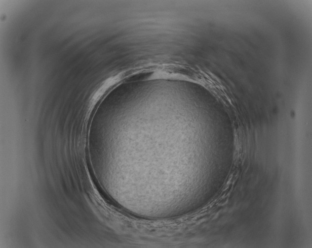 X0000066990003200603311601