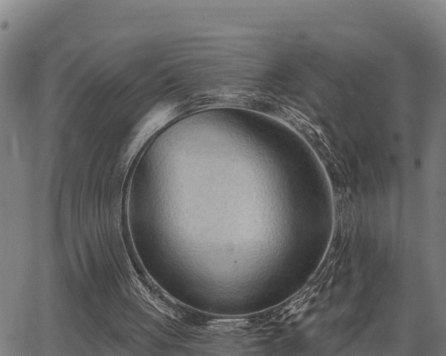 X0000066990051200603311559