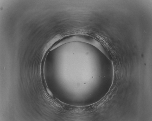 X0000066990148200603311558