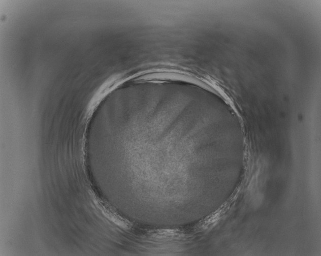 X0000066990151200603311558
