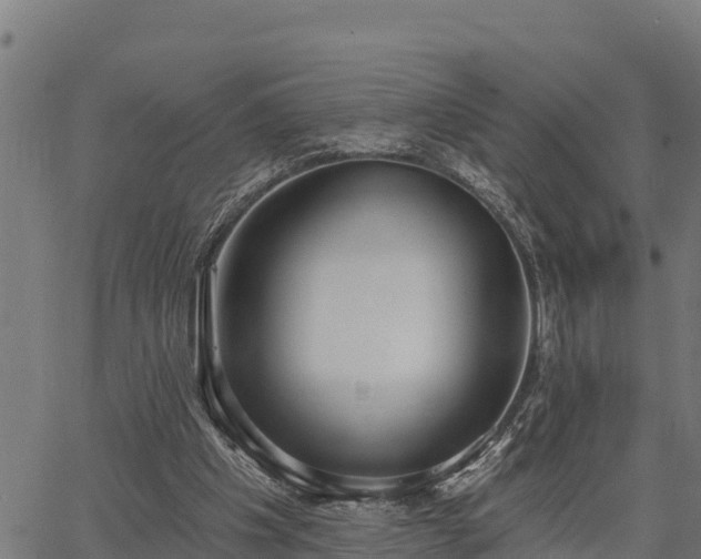 X0000066990201200603311558