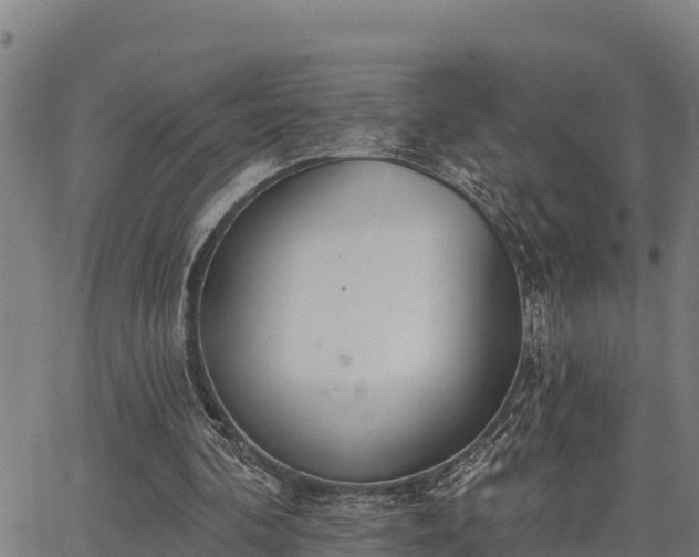 X0000066990292200603311556