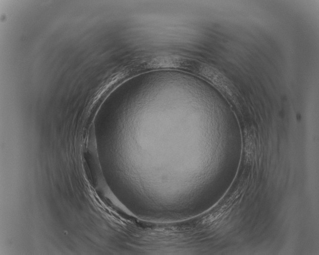 X0000066990386200603311555